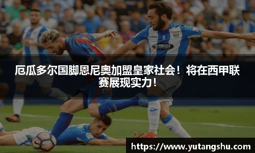 伟德体育官网