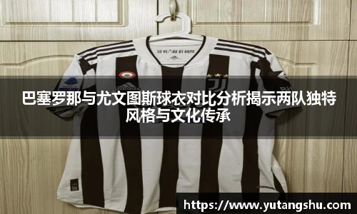 BV伟德官方网站