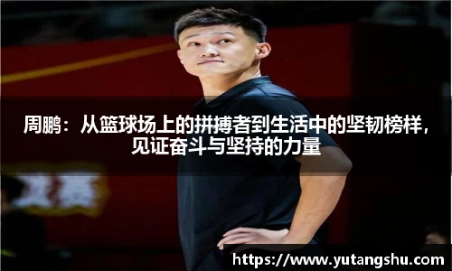 BV伟德官方网站