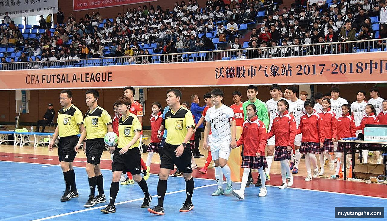 青春梦想，汇聚体育